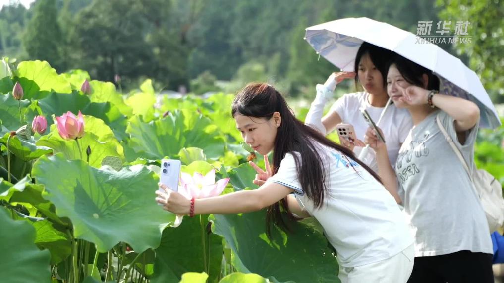 江西广昌：“莲花经济”催热暑期游